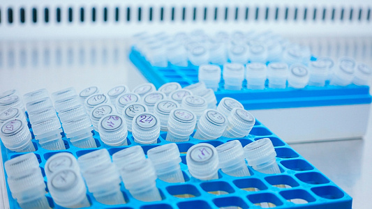 Криоперенос за 48 000 рублей!